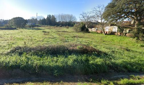 Anadia, Aveiro 3780-130, Portugal