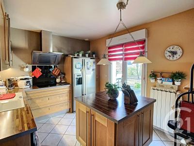 Romorantin Lanthenay, 中部 41200, 法國