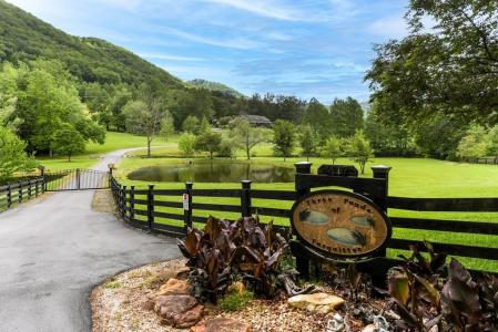 4167 Downings Creek Road, Hayesville, 노스 캐롤라이나 28904, 미국