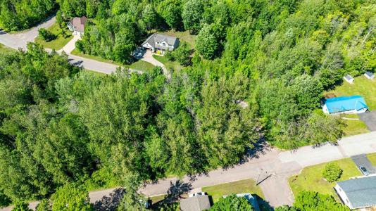 Lot 49 Crestwood, Hancock, Michigan 49930, États-Unis