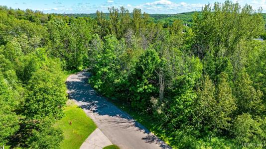 Lot 49 Crestwood, Hancock, Michigan 49930, États-Unis