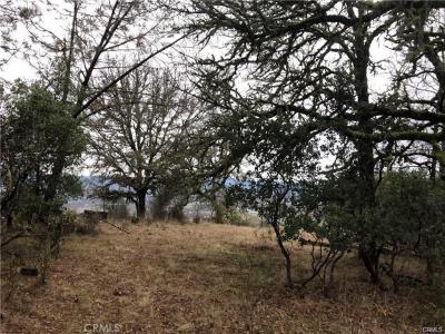 3643 Glebe Road, Kelseyville, Califórnia 95451, Estados Unidos