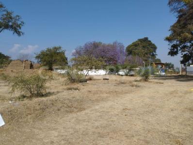 Ex-Hacienda del Carmen S/N,, Santa Maria Coyotepec, Oaxaca 71254, Mexico