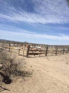 Coronado, Chihuahua 33990, México