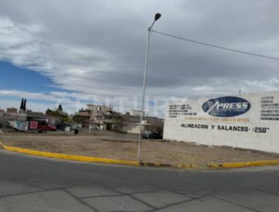 Delicias, Chihuahua 33000, Mexico