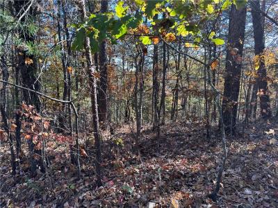 1686 Shade Tree Drive, Talking Rock, Géorgie 30175, États-Unis