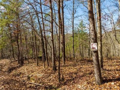 25 Adair Drive NE, Ranger, Georgia 30734, Estados Unidos
