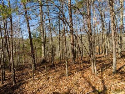 25 Adair Drive NE, Ranger, Georgia 30734, Estados Unidos