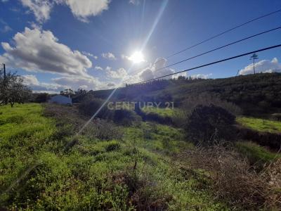Gavião, Portalegre 6040-024, Portugal