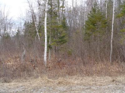 128 Custer Road, Alpena, Michigan 49707, USA