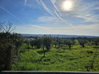 Constância, Santarém 2250-000, Portugal