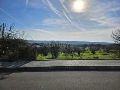 Constância, Santarem 2250-000, Portugal