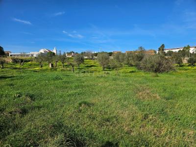 Constância, Santarem 2250-000, Portugal