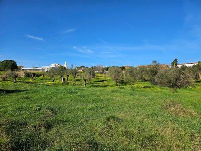 Constância, Santarem 2250-000, Portugal