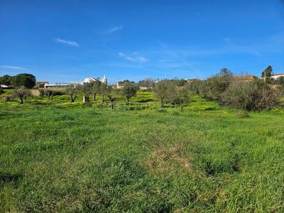 Constância, Santarem 2250-000, Portugal