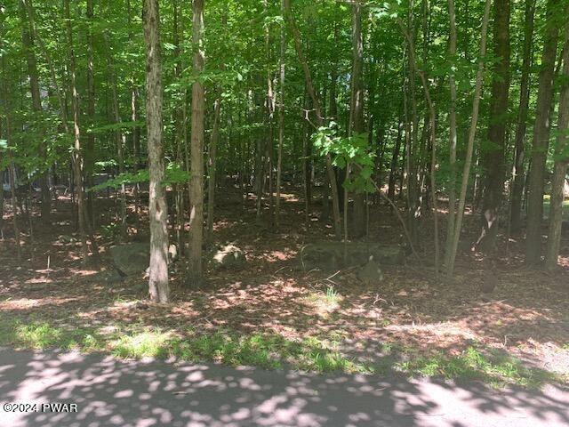 16 Cherokee Court, Lake Ariel, Pensylwania 18436, USA