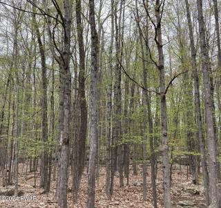 16 Cherokee Court, Lake Ariel, Pensylwania 18436, USA