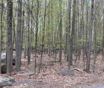 16 Cherokee Court, Lake Ariel, Pennsylvania 18436, USA