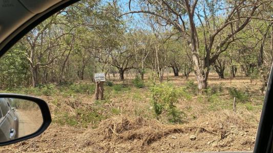 Sardinal Carrillo, Guanacaste 00001, Costa Rica
