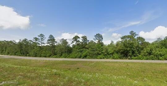 Highway 49, McHenry, Mississippi 39561
