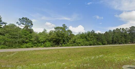 Highway 49, McHenry, Mississippi 39561