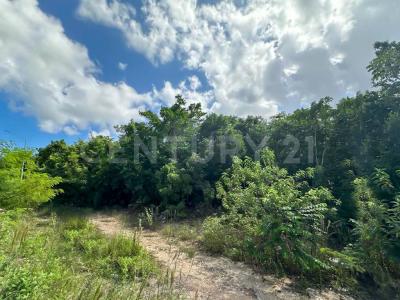 Cancún/Benito Juárez, Quintana Roo 77560, Mexico
