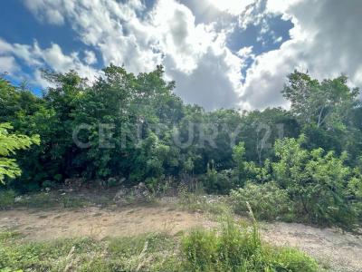 Cancún/Benito Juárez, Quintana Roo 77560, Mexico