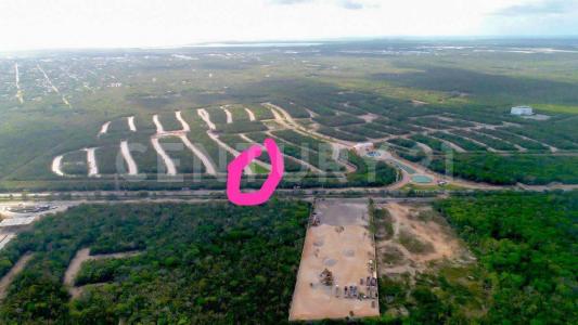 Cancún/Benito Juárez, Quintana Roo 77560, México