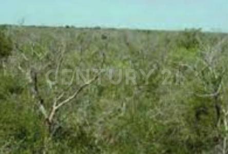 Tixkokob, Yucatan 97470, Mexique