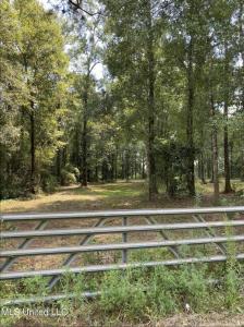 2838 Highway 43 S., Picayune, ميسيسيبي 39466, الولايات المتحدة