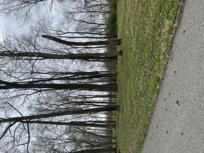 Joy Drive , Sullivan, Indiana 47882, USA