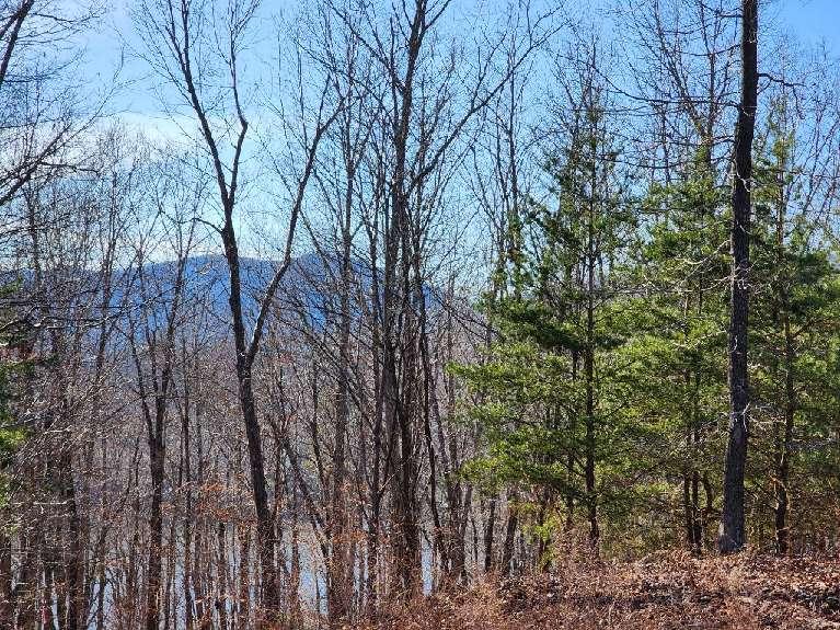 Lot 7 Robin Ridge Court, Pittsville, Virginia 24139