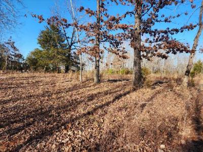 Lot 7 Robin Ridge Court, Pittsville, Virginia 24139