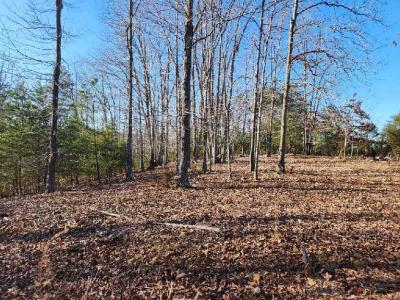 Lot 7 Robin Ridge Court, Pittsville, Virginia 24139