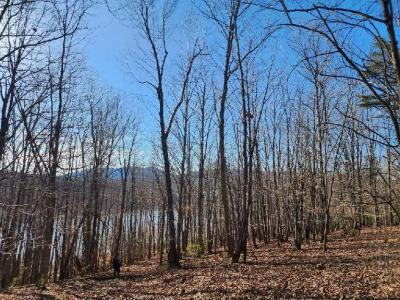 Lot 7 Robin Ridge Court, Pittsville, Virginia 24139