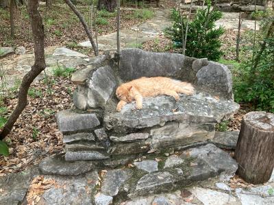 207 Hub Dr, Wimberley, Texas 78676, Stati Uniti