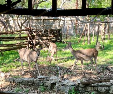 207 Hub Dr, Wimberley, Texas 78676, Stati Uniti
