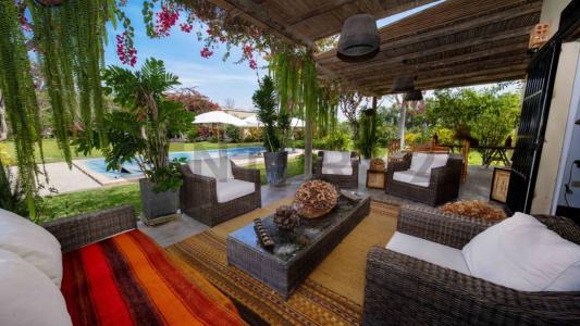 Poblado Tejada , Chincha, Ica 00001, Peru