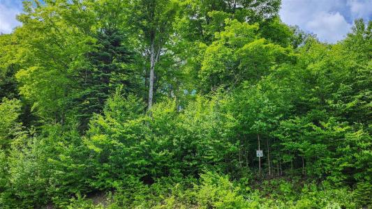 Ch. des Belvédères, Auclair, Quebec G0L 1A0, Canadá