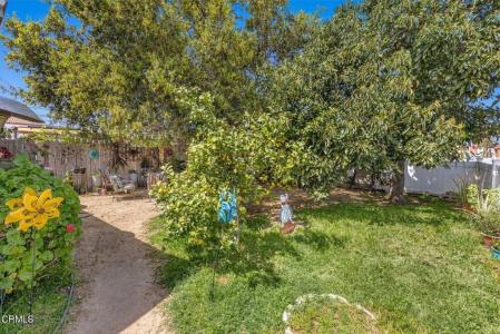 120 S Ojai Street, Santa Paula, California 93060, USA