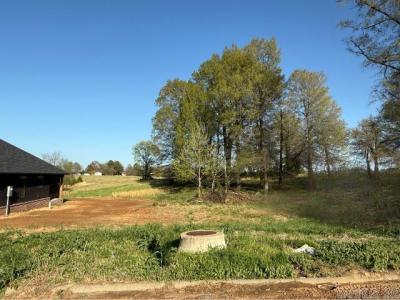 Lot 21B N 8 1/2 Street, Paragould, Arkansas 72450