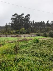 Batalha, Leiria 2495-034, Bồ Đào Nha