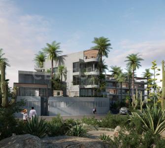 ciruelos 46,, Los Cabos, באחה קליפורניה הדרומית 23454, מקסיקו