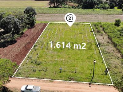 Capitán Miranda , Capitán Miranda, Itapúa 00001, Paraguay