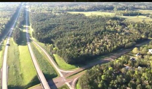 TBD LENA FLATWOODS Road, Lena, Louisiana 71447, Stati Uniti