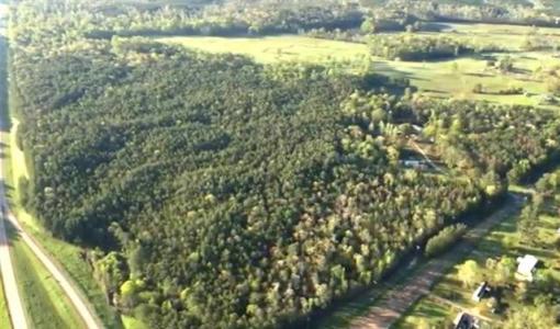 TBD LENA FLATWOODS Road, Lena, Louisiana 71447, Stati Uniti
