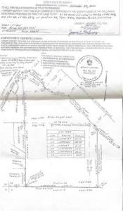 TBD LENA FLATWOODS Road, Lena, Louisiana 71447, Stati Uniti