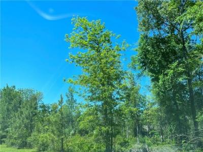 0 MERCER Road, Pineville, Louisiana 71360, Estados Unidos