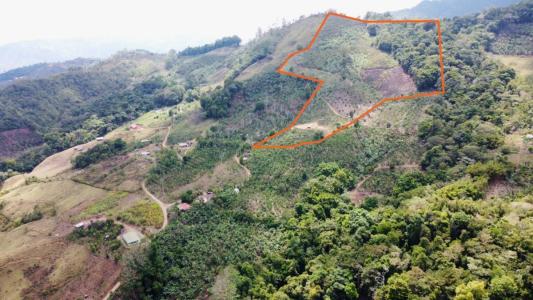 San Isidro Del General Pérez Zeledón, San José 00001, Costa Rica