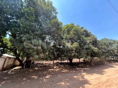 Crotos Lote 2,, Puerto Escondido, Oaxaca 71980, Meksyk